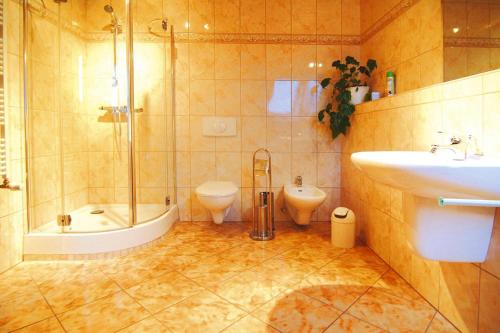 a bathroom with a shower toilet and a sink at Apartment, Parmen near Feldberg in Parmen