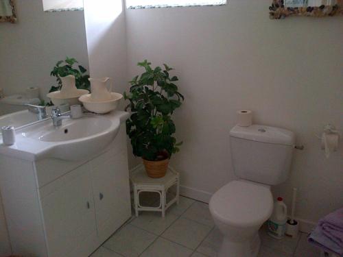 a bathroom with a toilet and a sink and a plant at Au Pied de la Roche in Roche-en-Régnier