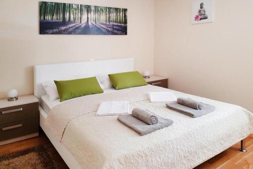 Krevet ili kreveti u jedinici u okviru objekta Apartment in Starigrad Paklenica only 200 m from the sea