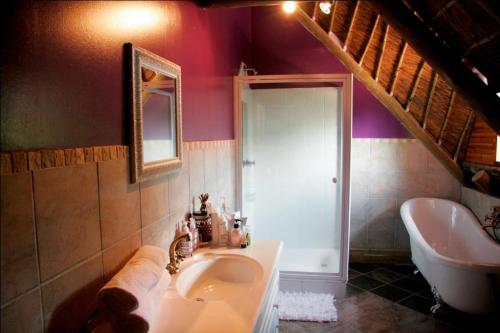 uma casa de banho com um lavatório e uma banheira em Midrand Wild Goose Guest House Backup Power em Midrand