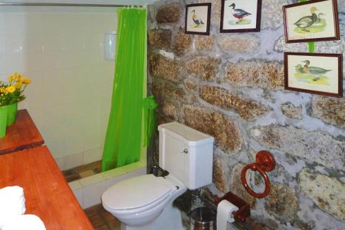 baño con aseo y pared de piedra en holiday home, Folhada, en Marco de Canaveses