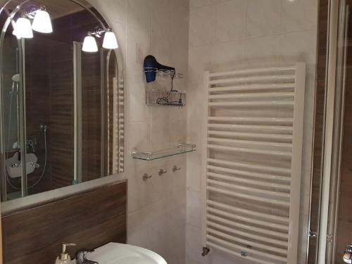 a bathroom with a toilet and a sink and a mirror at Pension Hüttendorf 49 gradnord in Bayerisch Eisenstein