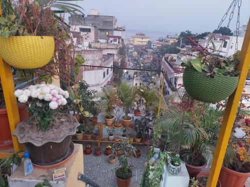 un balcón lleno de macetas y flores en Om Shanthi paying guest house, en Varanasi