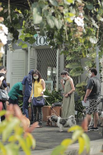 Tetamu yang menginap di The Shalimar Boutique Hotel