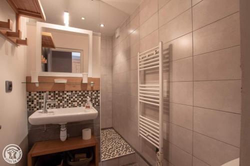 une salle de bain avec un lavabo et un miroir dans l'établissement Le Berceau Savoyard - Annecy, à Nâves-Parmelan