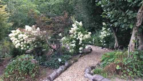The Garth Guest Suite Studio Cottage – Photos 3
