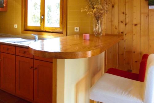 a kitchen with a counter with a vase of flowers at Holiday homes Quinta dos Curubás, Vila Franca do Campo in Vila Franca do Campo