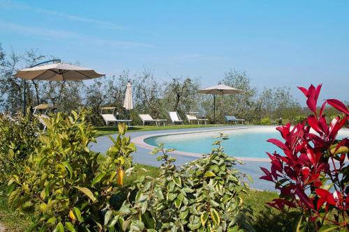 una piscina con due ombrelloni e alcune piante di Agriturismo Giugnano Poggio del Sole Lamporecchio a Lamporecchio