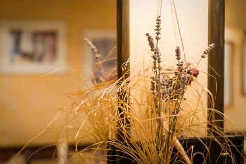 a dog is standing next to some tall grass at Rooms & Restaurant Ostarija in Dolenjske Toplice