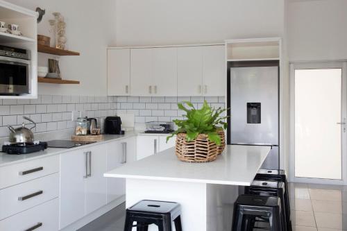 a white kitchen with a potted plant on a counter at Sunshowers Plett in Plettenberg Bay