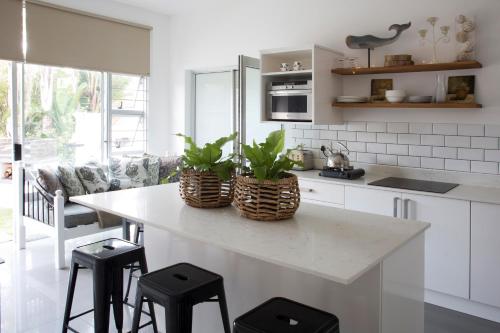 a kitchen with a white counter with two plants on it at Sunshowers Plett in Plettenberg Bay
