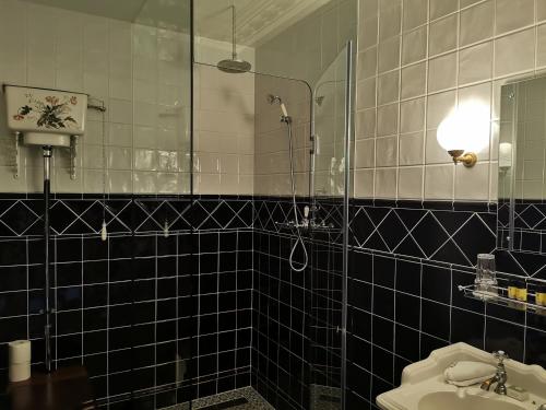 a bathroom with a shower, sink, and mirror at Waterford Castle Hotel & Golf Resort in Waterford