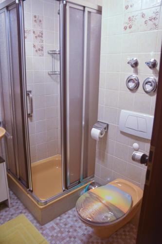 a bathroom with a shower and a toilet in it at Fewo Zeus mit großer eingezäunter Terrasse in Todtmoos