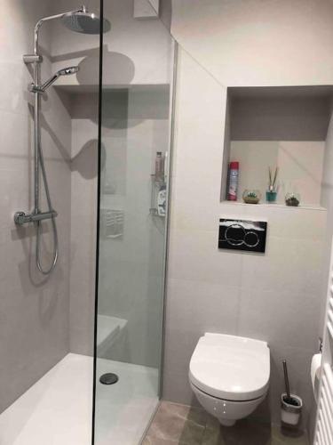 une salle de bain avec douche et toilettes dans l'établissement APPART/PALM BEACH/ CANNES, à Cannes
