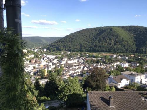 a view of a town with a mountain in the background at Haus Lahntalblick in Bad Ems