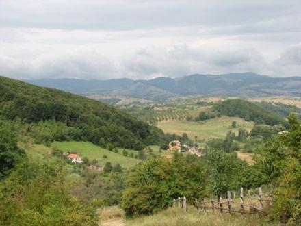 a view of a valley with mountains and trees at Casuta de la Munte in Sfodea