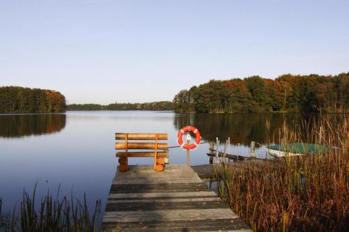 a wooden dock with a bench on a lake at Ferienhaus mit Pool und Sauna am Duemmer See in Dümmer