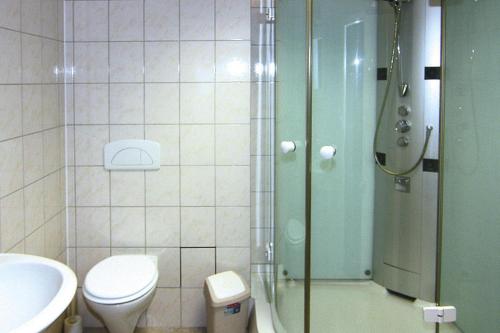 a bathroom with a shower and a toilet and a sink at Apartment in Schwerin with a shared wellness in Schwerin