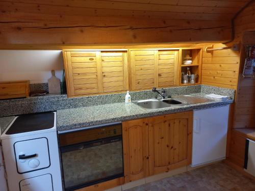 uma cozinha com um lavatório e um fogão em Confortevole mansarda di montagna em Poschiavo