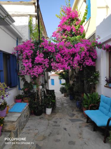 KASTRO HOUSE
