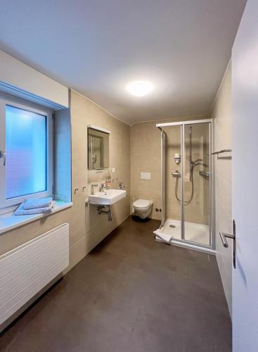 a bathroom with a shower and a toilet and a sink at Hotel Hecht in Rheineck