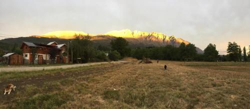 a dog in a field with a mountain in the background at El Bolsón Patagonia - Cabaña Tío Ale in El Bolsón