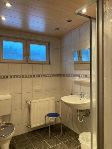 a bathroom with a sink and a toilet at Erlebnispension Zum Wanderer Sepp in Arnbruck