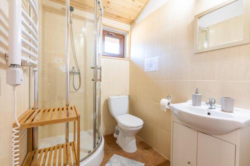 a bathroom with a shower and a toilet and a sink at DOMKI POD ZIELONYM WZGÓRZEM in Kudowa-Zdrój