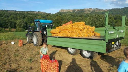 a boy standing next to a truck full of oranges at Tourist farm Pri Andrejevih in Narin