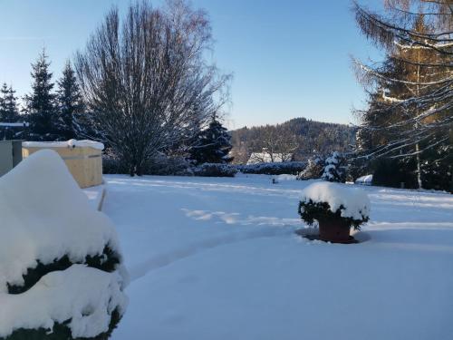 a yard covered in snow with a fire hydrant at Penzion Pastviny in Pastviny