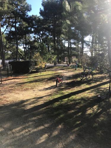 a person walking a dog in a park with trees at Mobil home 6 pers climatisé in Les Mathes