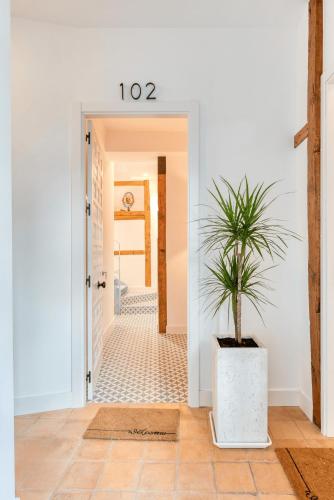 a hallway with a door with a potted plant at Boutique D’Argent in Toledo