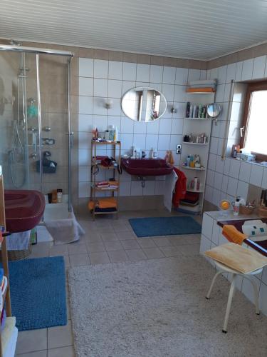 bagno con doccia e lavandino di gemütliches Zimmer mit Terrasse a Rheinstetten