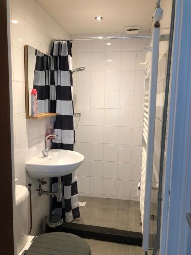 Kylpyhuone majoituspaikassa Vakantiebungalow nr 7 in het Heuvelland