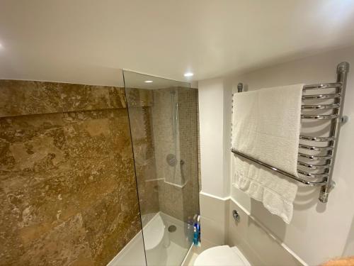 a bathroom with a glass shower and a toilet at A sun drenched Garden Flat in the heart of Fulham in London
