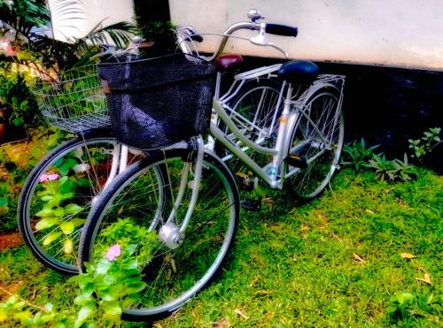 Jazda na bicykli v okolí ubytovania Lake Front Yala Safari