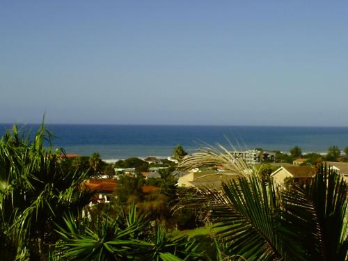 a view of the ocean and houses and palm trees at Remini in Jeffreys Bay