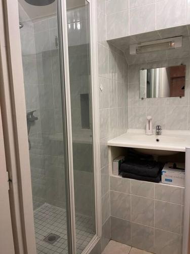uma casa de banho com um chuveiro e um lavatório. em Appartement rénové tout confort, centre Valdahon em Le Valdahon