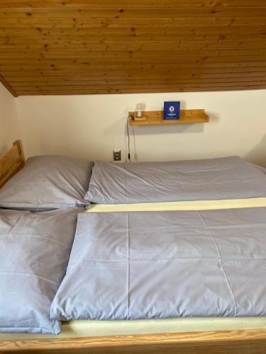 a bed in a room with a wooden ceiling at Relax Centrum Gól in Loučná nad Desnou