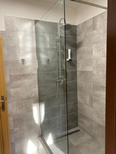 a shower stall with a glass door in a bathroom at Relax Centrum Gól in Loučná nad Desnou