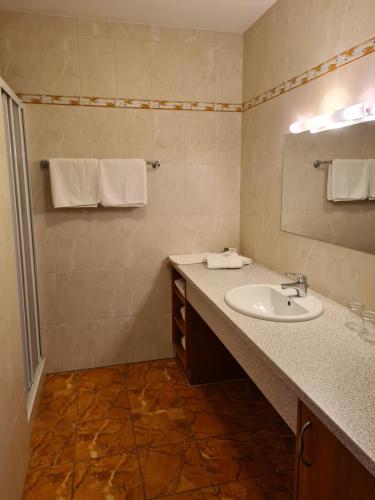 y baño con lavabo y espejo. en Hotel Stocker, en Krieglach