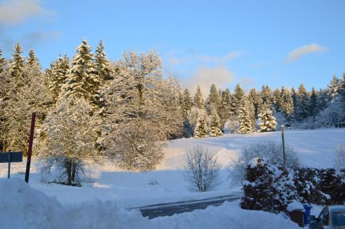 a snow covered field with trees in the background at Erlebnispension Zum Wanderer Sepp in Arnbruck