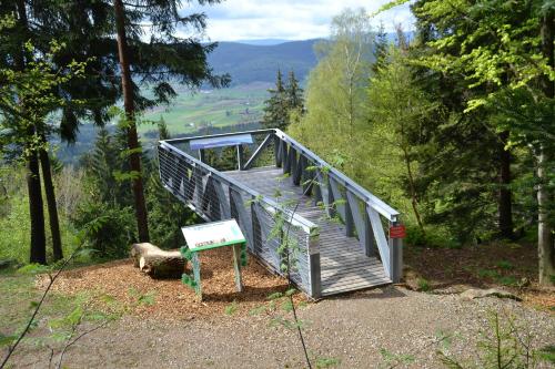 a wooden walkway in the middle of a forest at Erlebnispension Zum Wanderer Sepp in Arnbruck