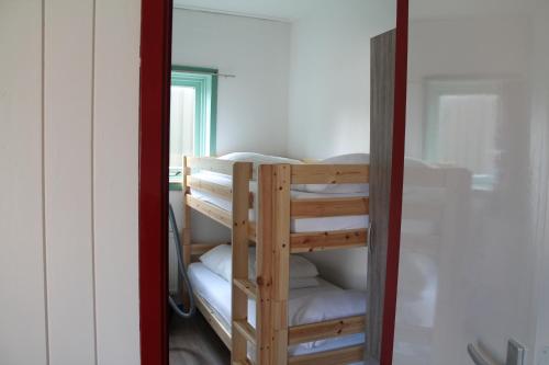 a couple of bunk beds in a room at boerderij de duinen 113 in De Cocksdorp
