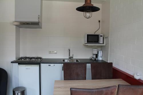 uma pequena cozinha com um lavatório e um fogão em boerderij de duinen 113 em De Cocksdorp