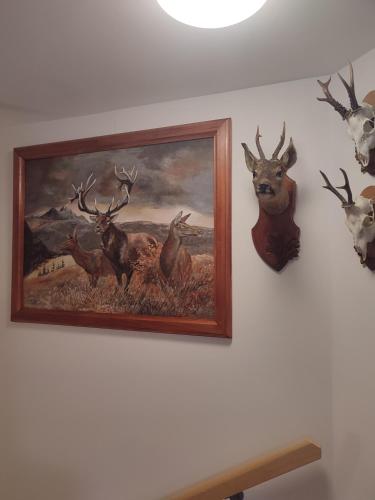 Animales en el apartamento o alrededores