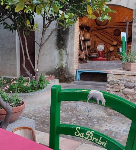 Foto dalla galleria di Villa Rosa a Chia