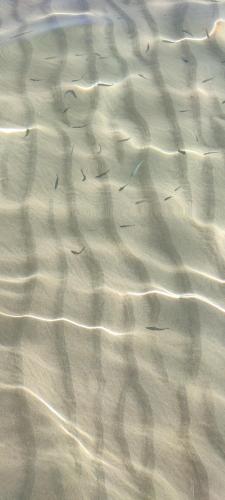 Paesaggio naturale nelle vicinanze dell'appartamento