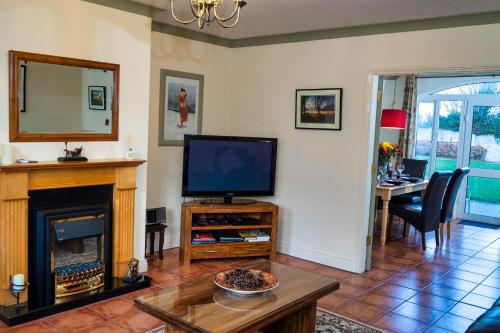 a living room with a television and a fireplace at 21 Killarney Holiday Village in Killarney