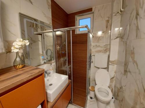 Sremska KamenicaにあるApartman Stojanovicのトイレ、洗面台、シャワー付きのバスルーム